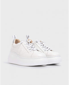 Dorita Flatform Sneaker in White Leather Sneaker Wonders 