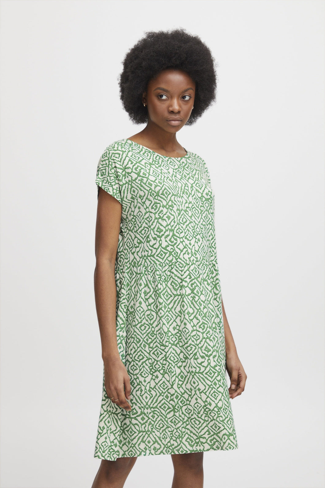Lisa Dress in Greenbiar Ikat Print Dress Ichi 